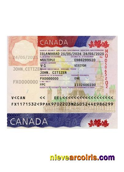 Canada travel visa 2024-present
